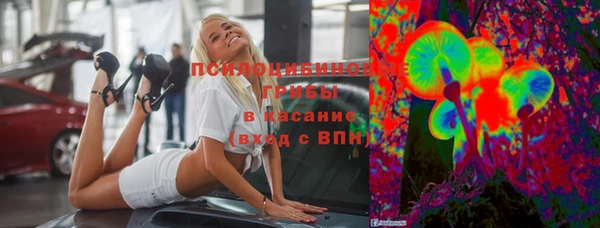 соль ск Пестово