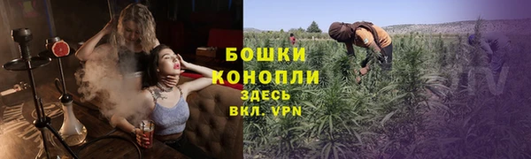 соль ск Пестово