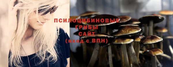 бошки Переславль-Залесский