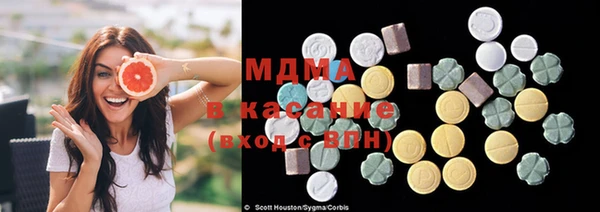 стаф Пересвет