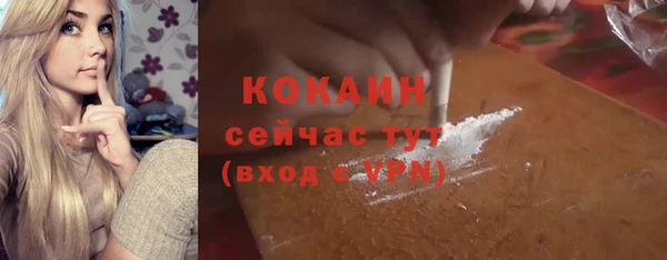 стаф Пересвет