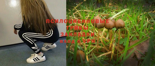 бошки Переславль-Залесский