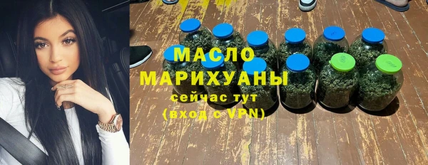 стаф Пересвет