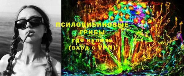 стаф Пересвет