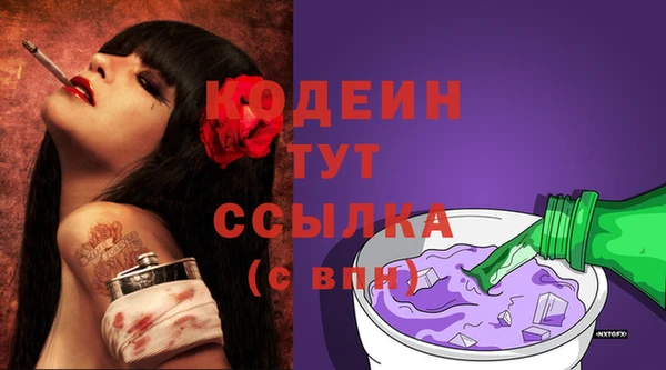 соль ск Пестово