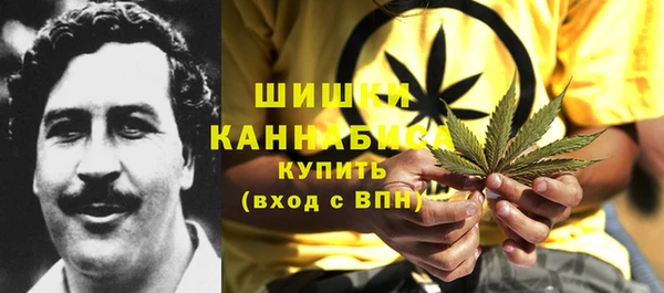 стаф Пересвет