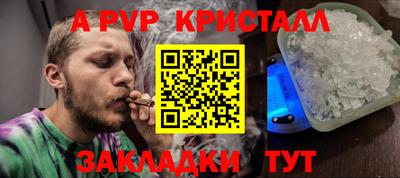 индика Дубна