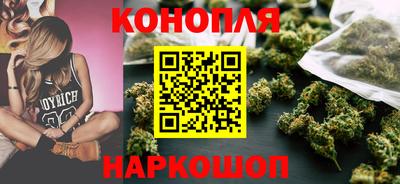индика Дубна
