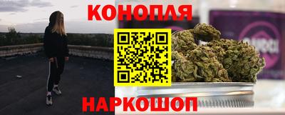 индика Дубна