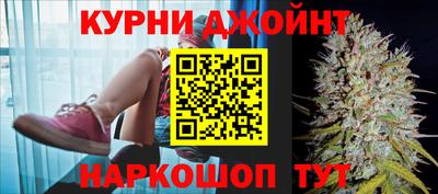 индика Дубна