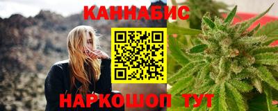 индика Дубна