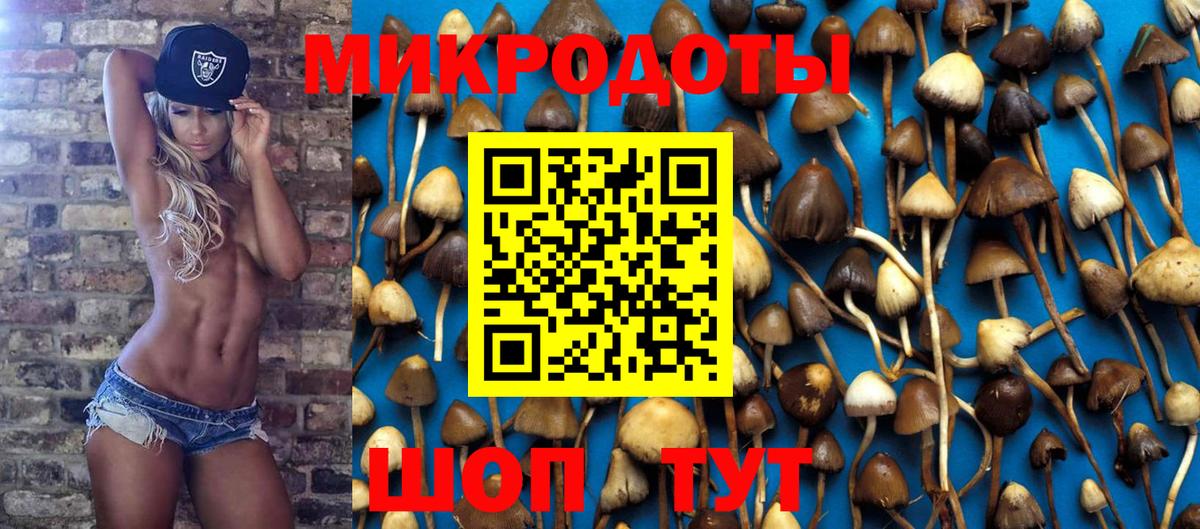 Галлюциногенные грибы Magic Shrooms Москва